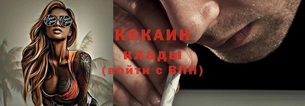 соль ск Алексин