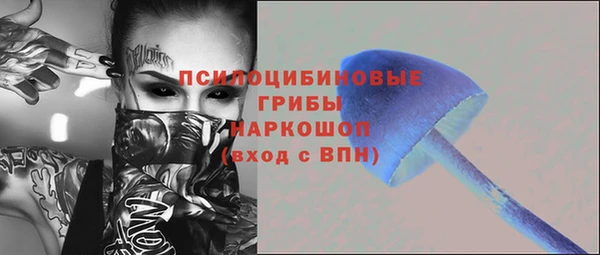 гашик Алексеевка