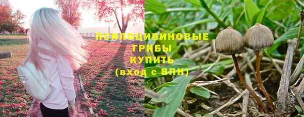 соль ск Алексин