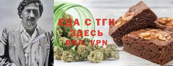 индика Абаза