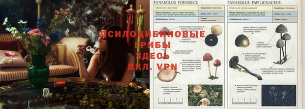 амфетамин Абдулино