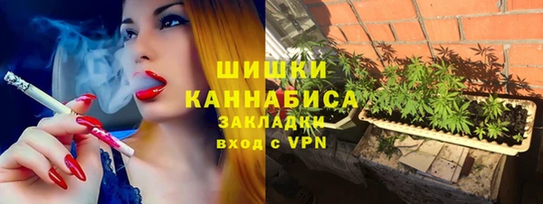 соль ск Алексин