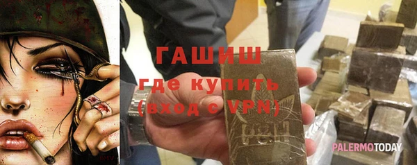 индика Абаза