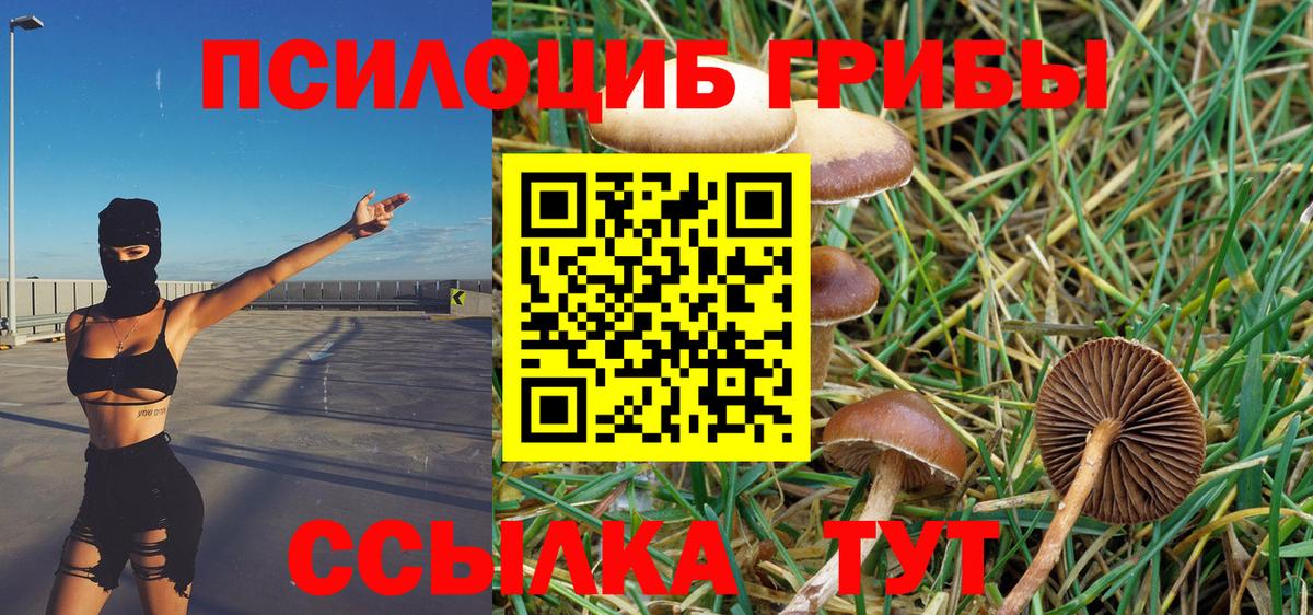 Галлюциногенные грибы Cubensis Ярцево